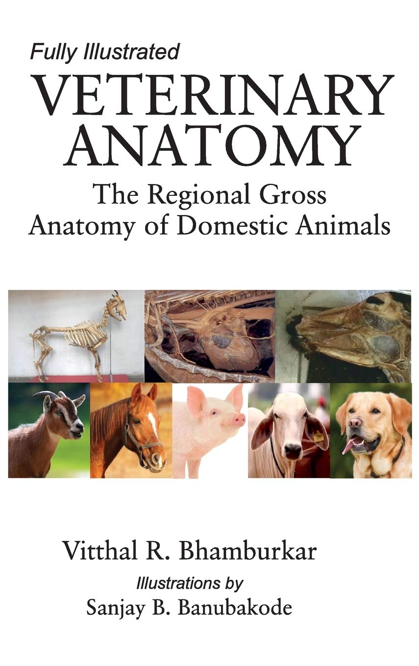 Veterinary Anatomy: The Regional Gross Anatomy Of Domestic Animals, 2 Vol Set