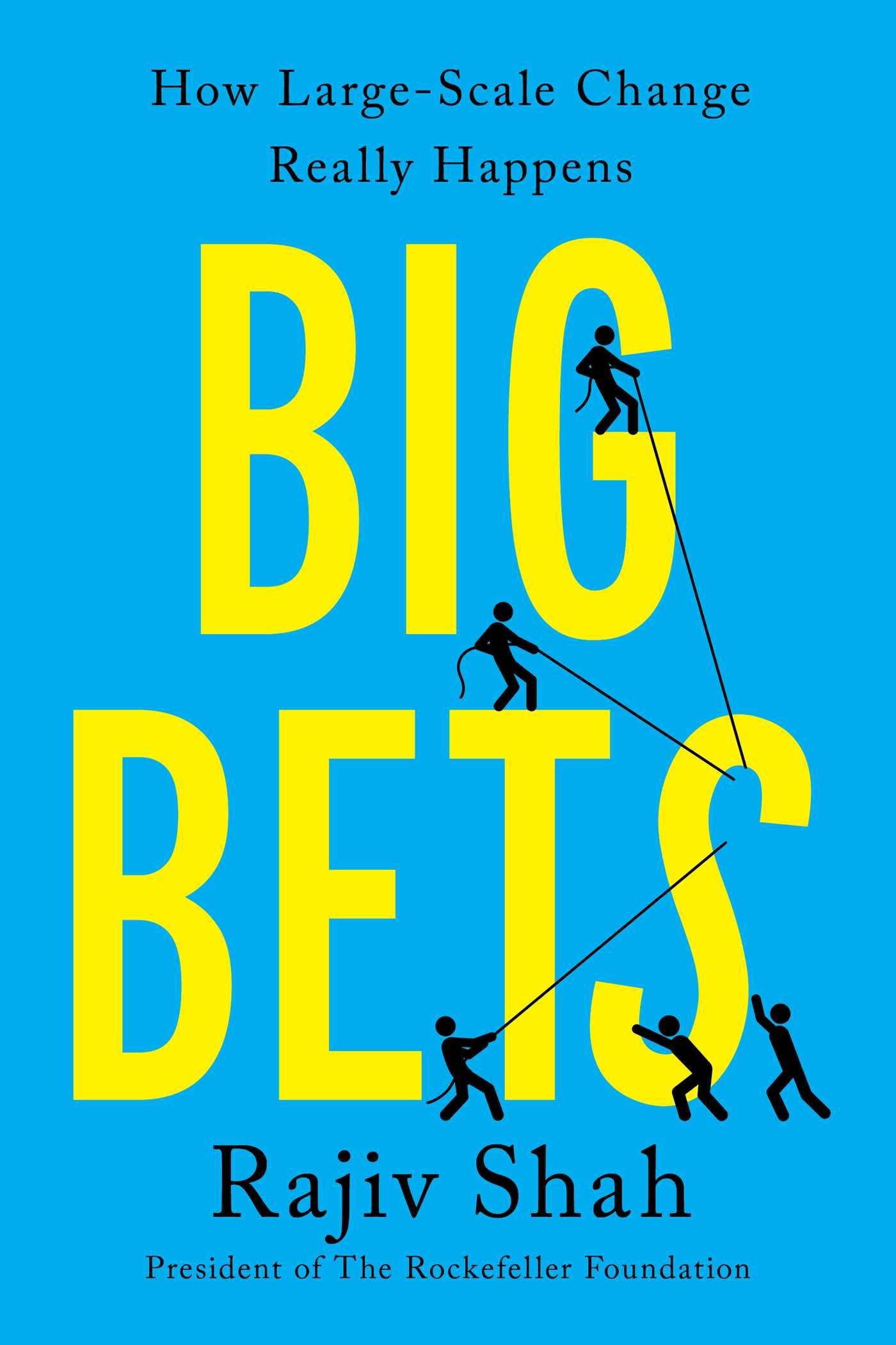 Big Bets: How LargeScale Change Really Happens