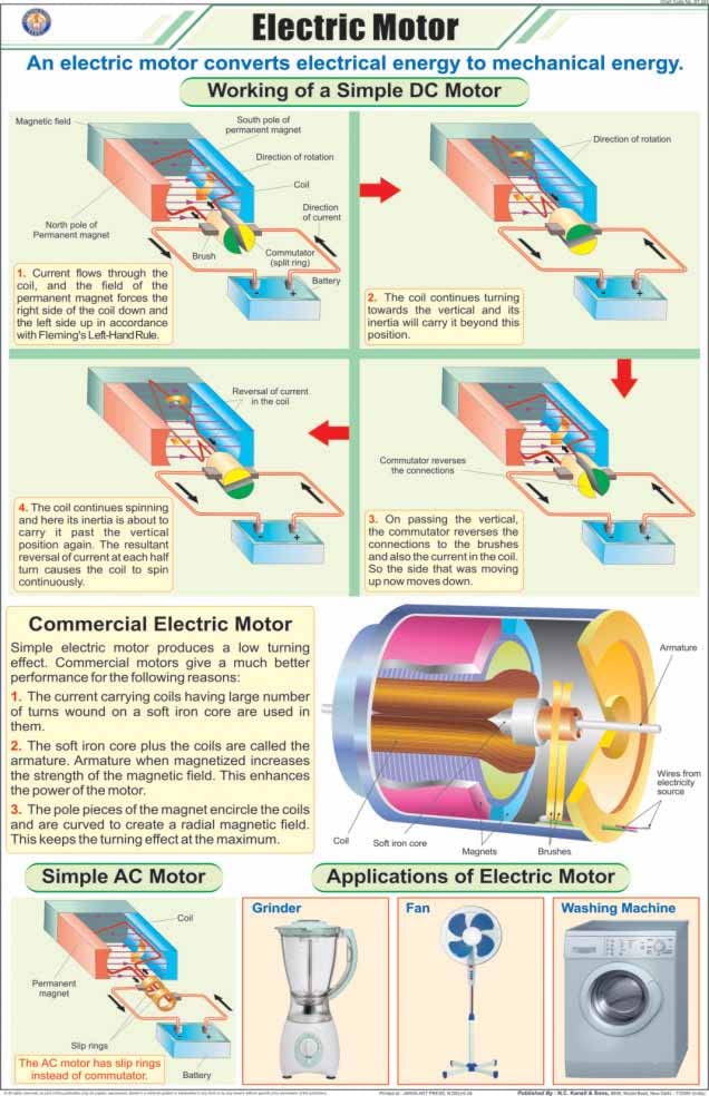 Stp28 | Teachingnest | Electric Motor Chart (58X90 Cm) | English | Physics Charts | With Rollers [Wall Chart] Charts On Physics 