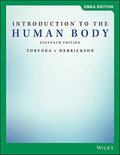 Introduction to the Human Body