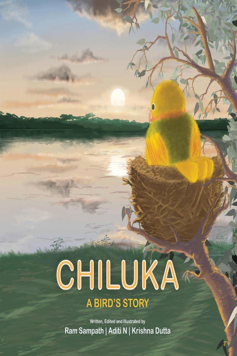 Chiluka : A BirdS Story