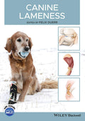 Canine Lameness