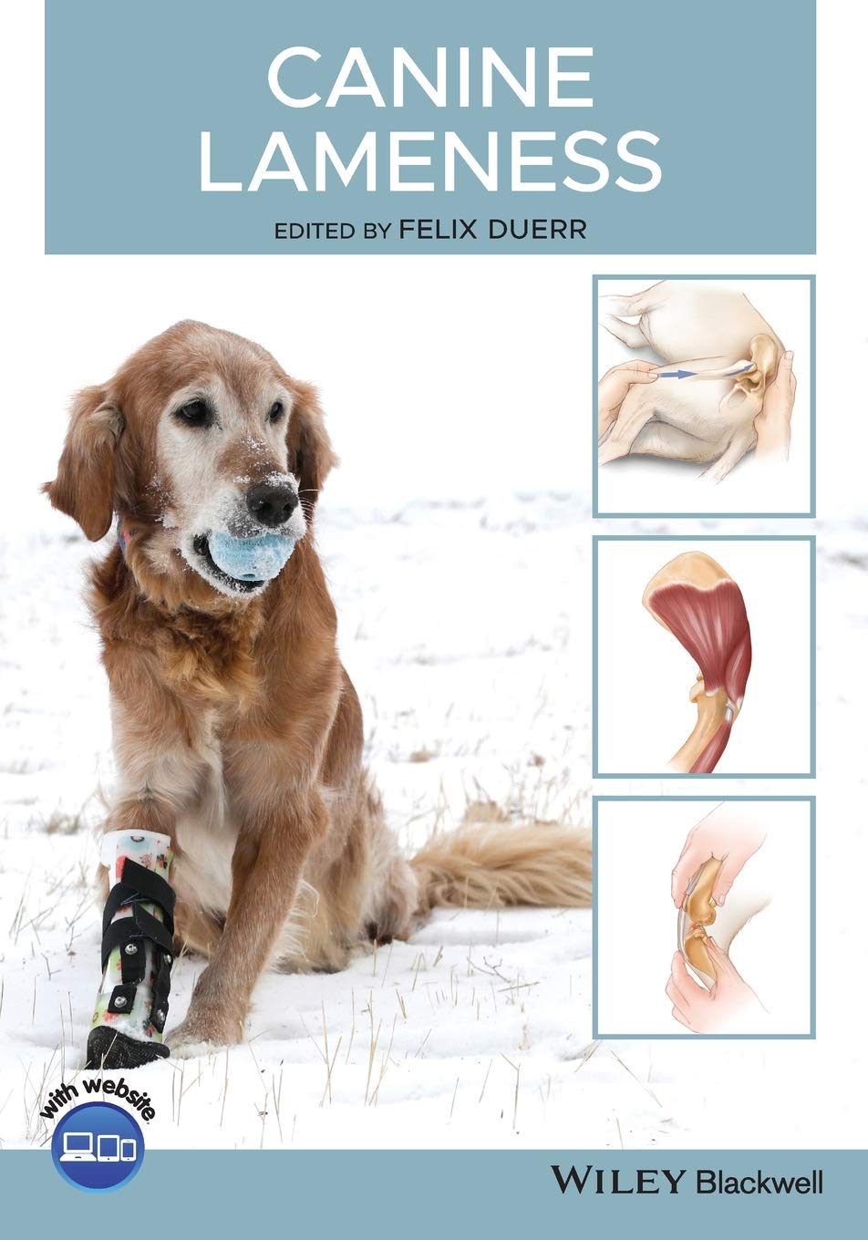Canine Lameness