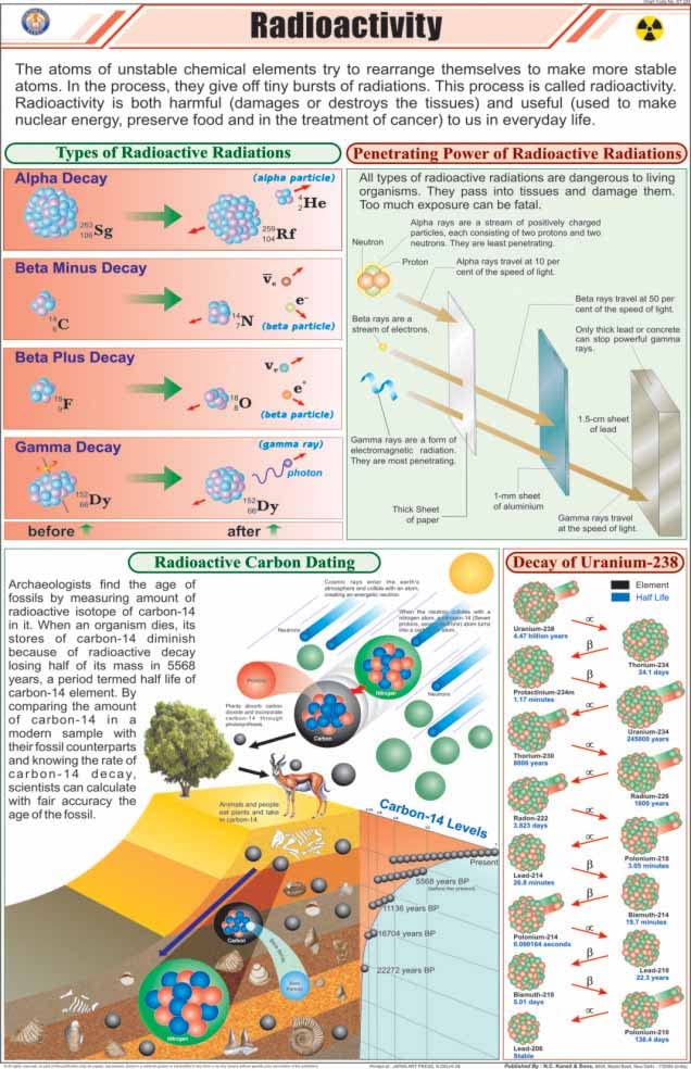 Stp40 | Teachingnest | Radioactivity Chart (58X90 Cm) | English | Physics Charts | With Rollers [Wall Chart]