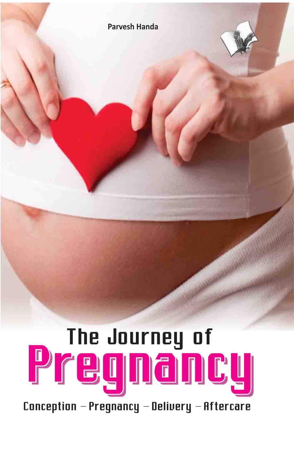 The Journey Of Pregnancy