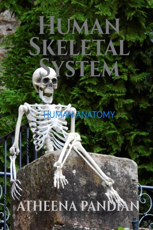 Human Skeletal System : Human Anatomy