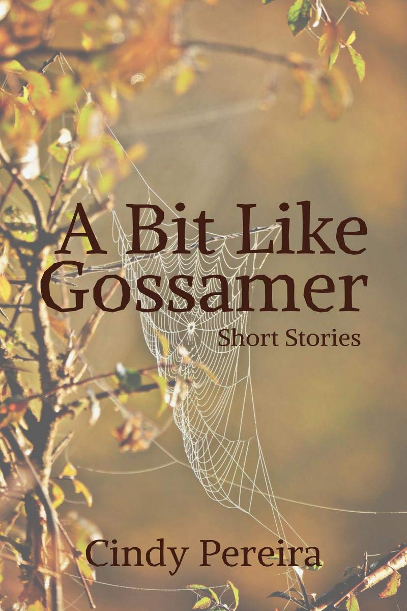 A Bit Like Gossamer : Short Stories