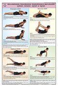 Yo07 | Teachingnest | Bhujangasan, Shalbhasan, Dhanurasan And Mayurasan Yoga (50X75Cm) | Yoga Chart | With Rollers | English [Wa