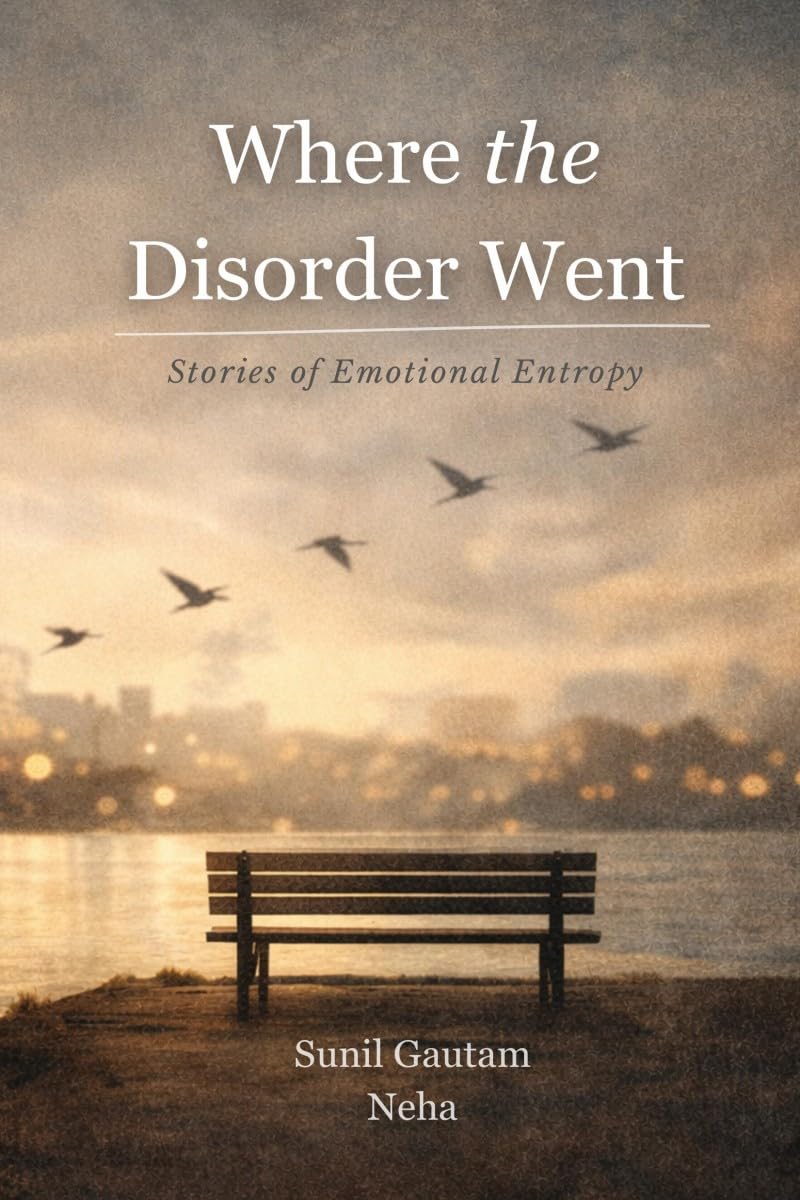 Where the Disorder Went: Stories of Emotional Entropy