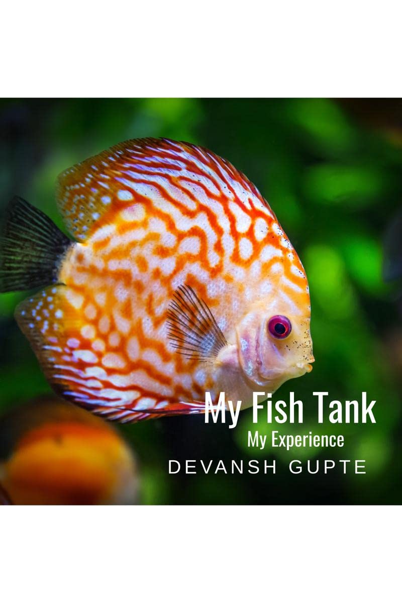 MY FISH TANK MY EXPERIENCE