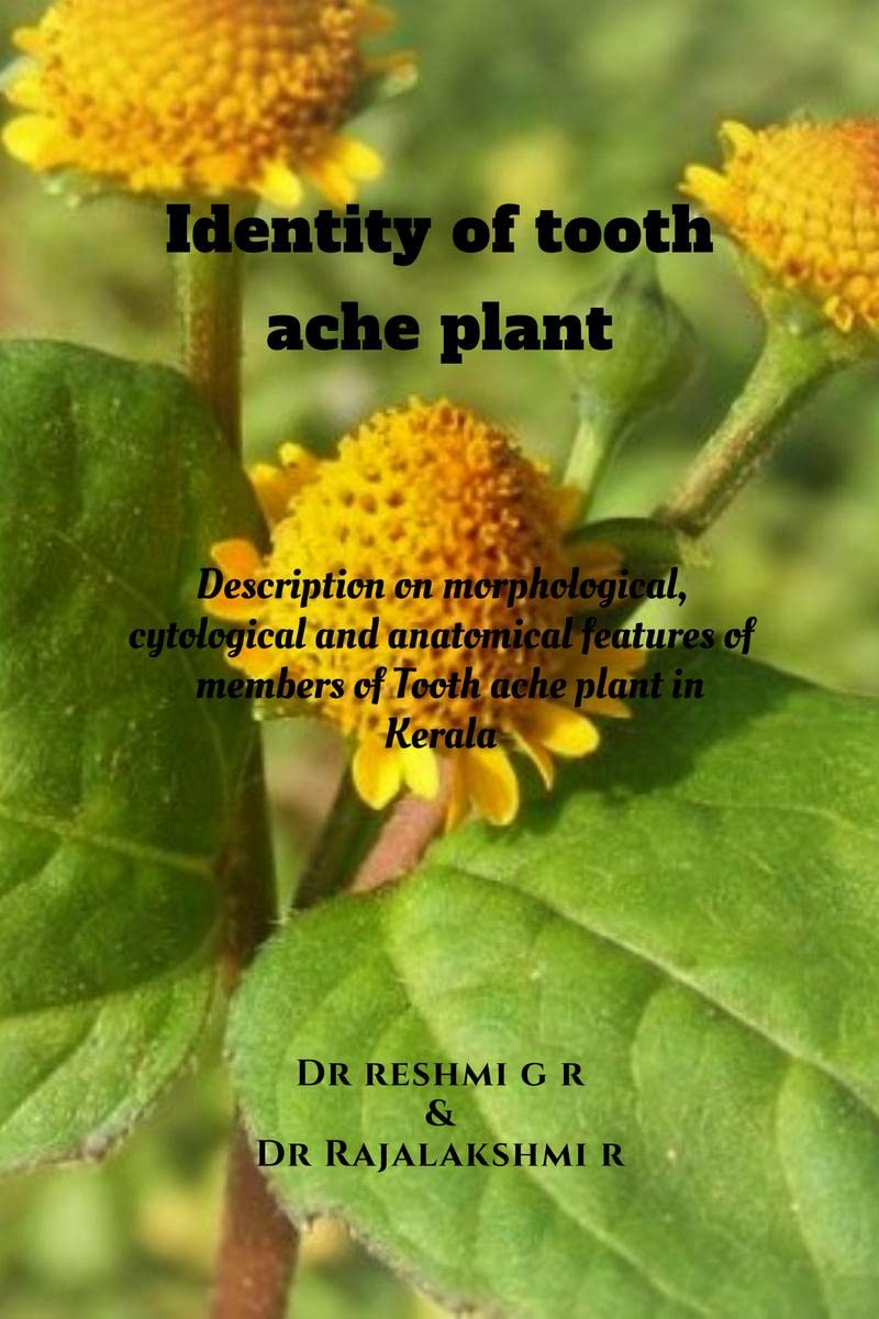 Identity of tooth ache plant : Description on morphological, cytological and anatomical features of members of Tooth ache plant 