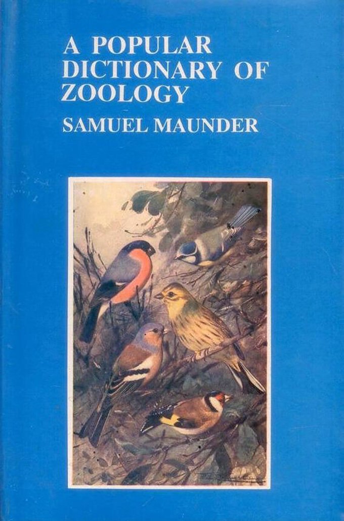 Popular Dictionary Of Zoology