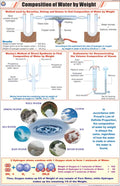 Stc15 | Teachingnest | Composition Of Water By Weight Chart (58X90 Cm) | English | Chemistry Charts | With Rollers [Wall Chart] 