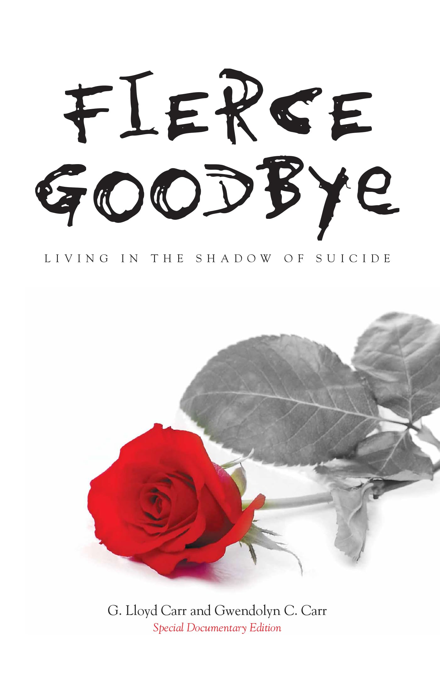 Fierce Goodbye: Living in the Shadow of Suicide