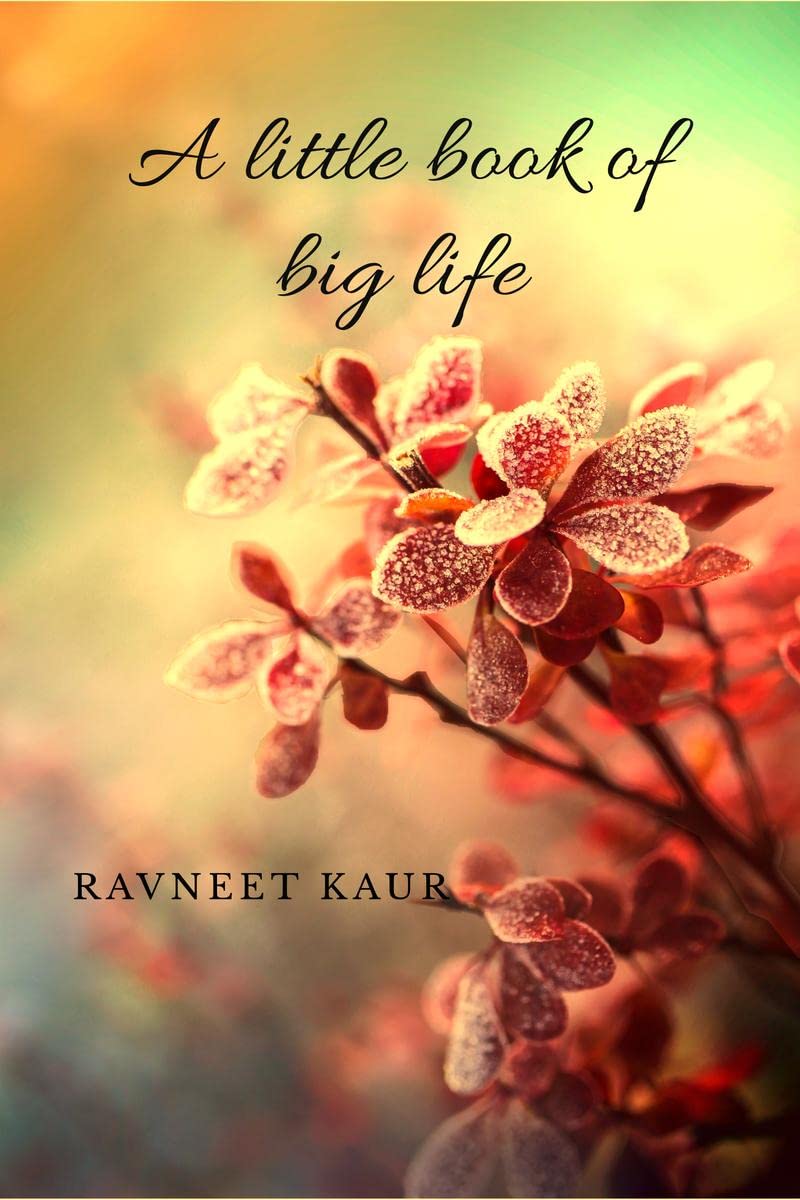 A little book of big life