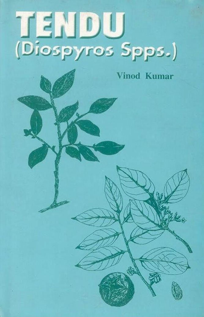 Tendu: (Diospyros Spps.)