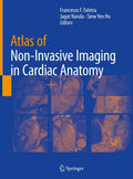 Atlas of NonInvasive Imaging in Cardiac Anatomy