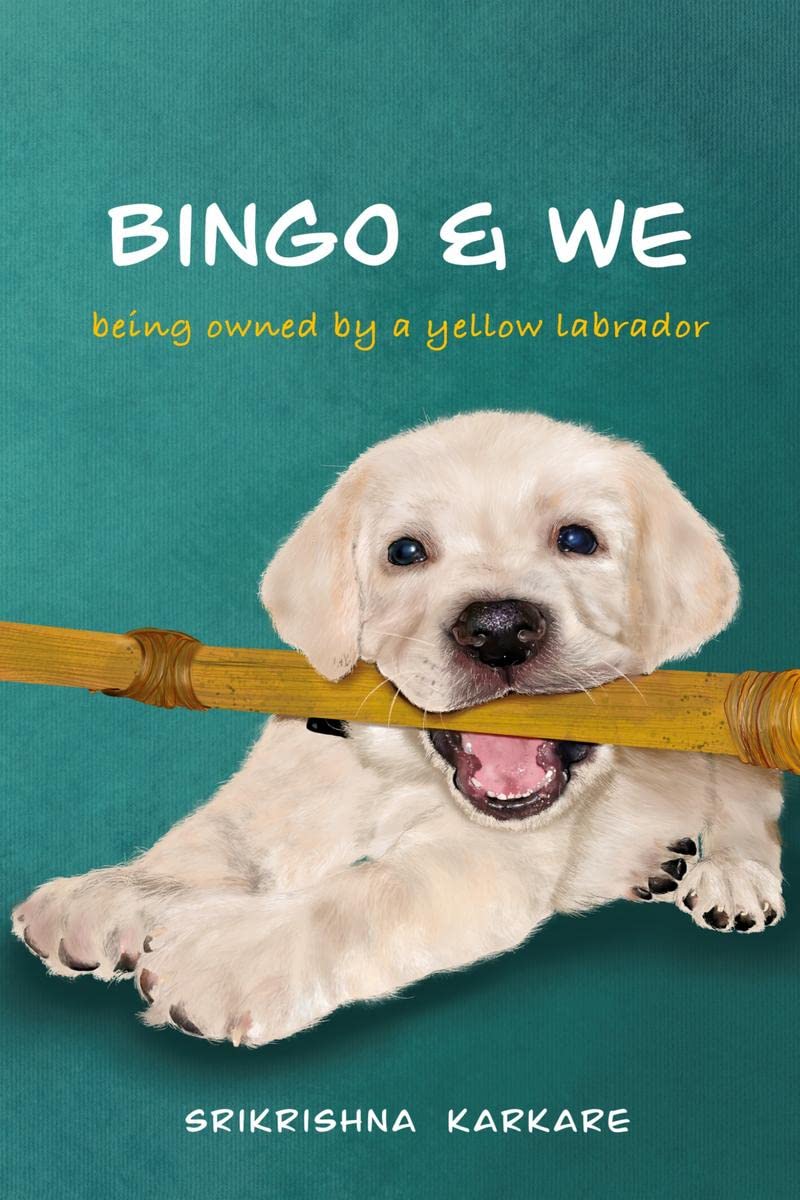 Bingo & We : Being Owned By A Yellow Labrador