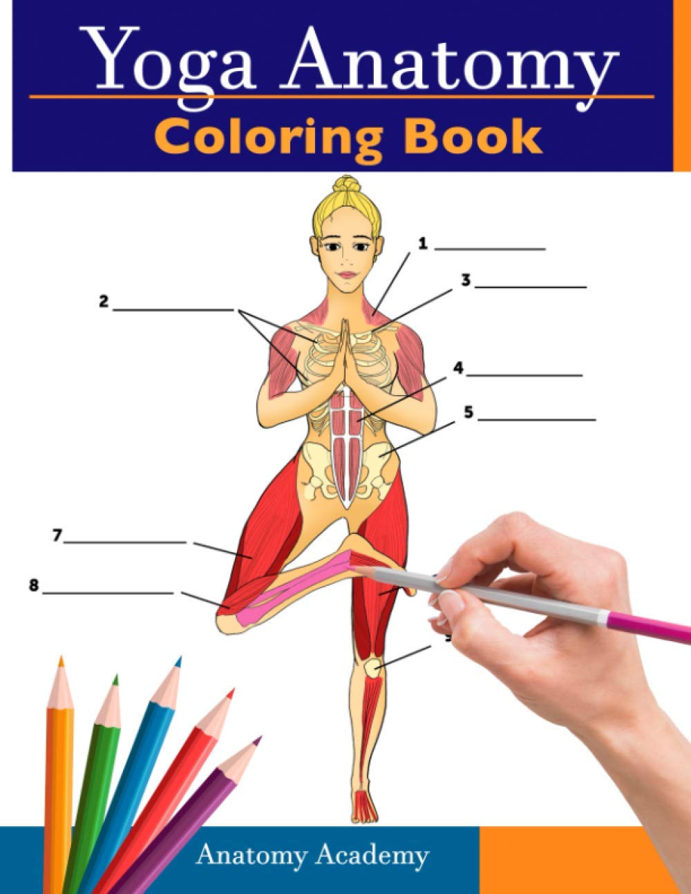 Yoga Anatomy Coloring Book: 3In1 Collection Set 150+ Incredibly Detailed SelfTest Beginner, Intermediate & Expert Yoga Poses 