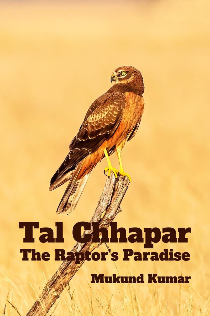 Tal Chhapar: The Raptors Paradise