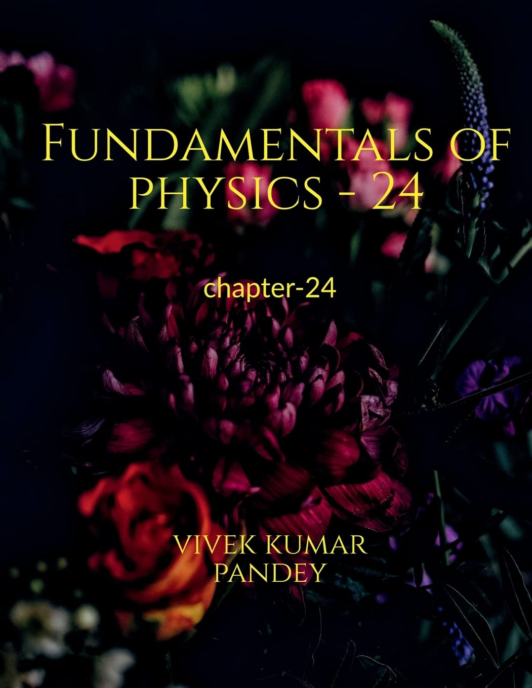 Fundamentals Of Physics  24 : Chapter24