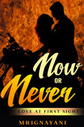 Now Or Never : Love At First Sight