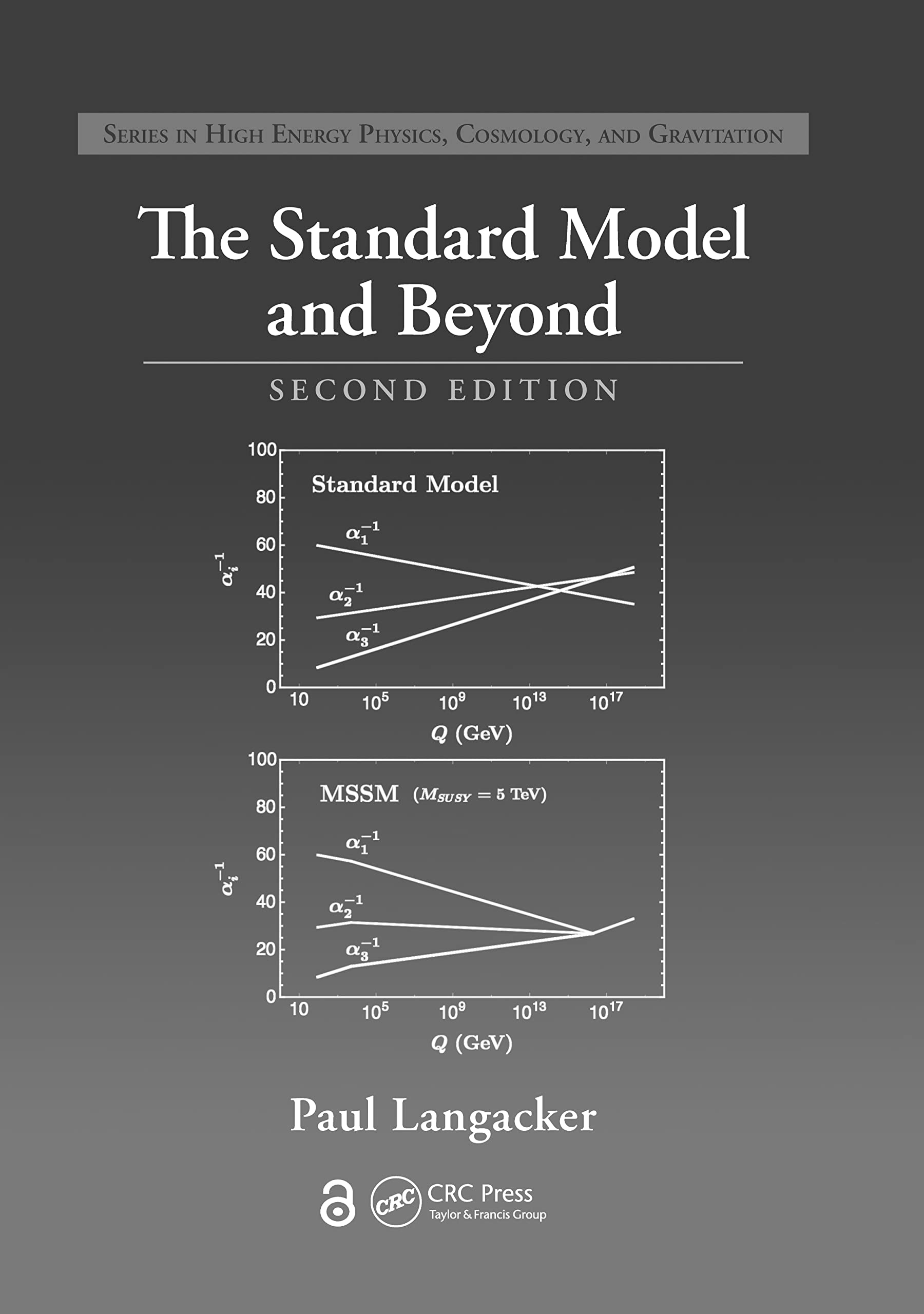 The Standard Model And Beyond (Series In High Energy Physics, Cosmology And Gravitation)