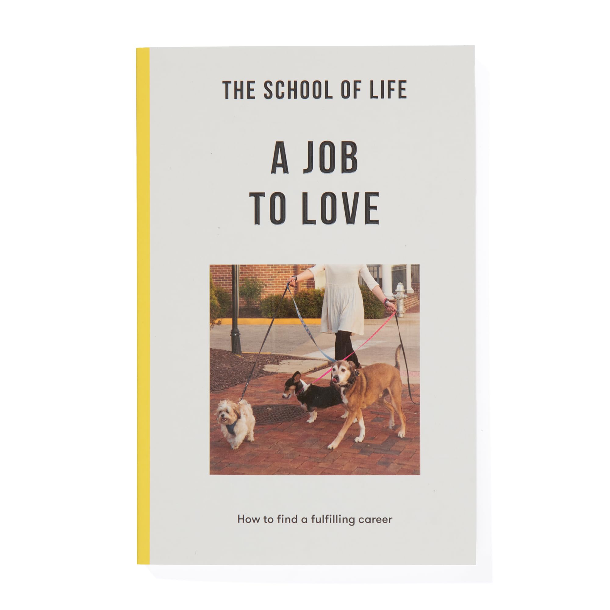 The School of Life: A Job to Love  how to find a fulfilling career
