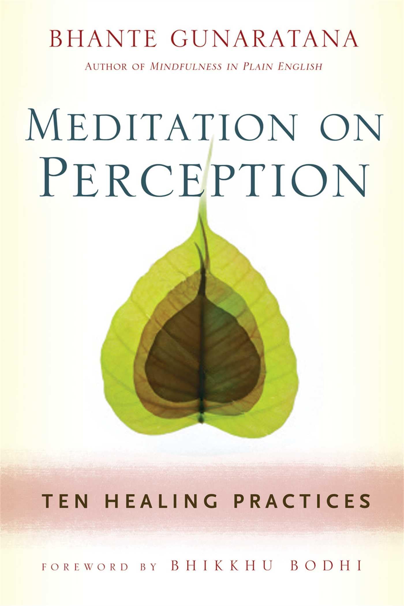 Meditation on Perception: Ten Healing Practices to Cultivate Mindfulness
