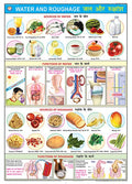Fn07 | Teachingnest | Water & Roughage Chart (70X100Cm) | Food And Nutrition Chart | Wall Sticking | English  Hindi Combined [W