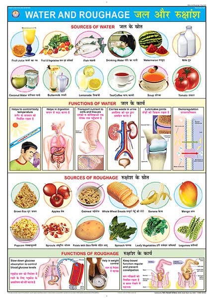 Fn07 | Teachingnest | Water & Roughage Chart (70X100Cm) | Food And Nutrition Chart | Wall Sticking | English  Hindi Combined [W