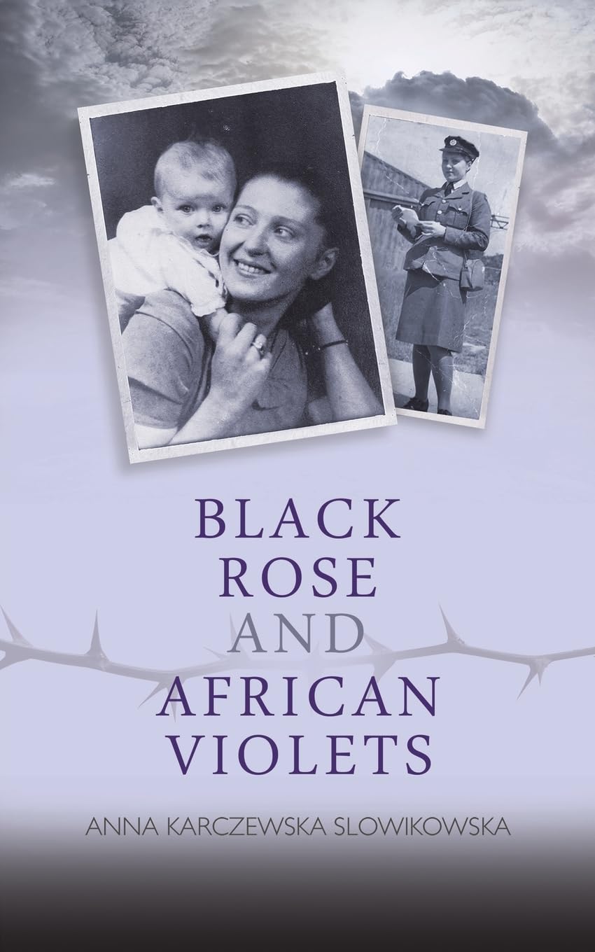 Black Rose And African Violets
