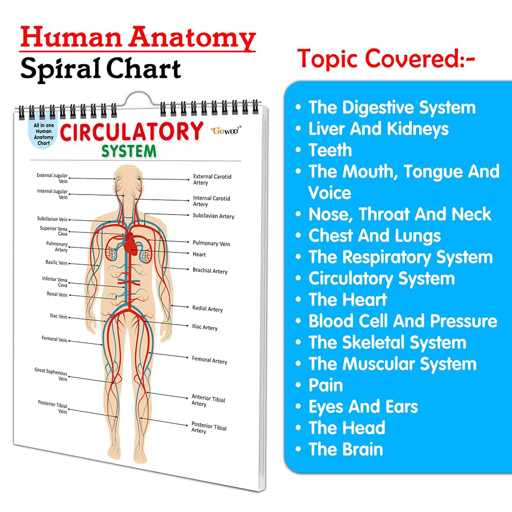 All in one Human Anatomy Chart : simple study anatomy chart, educational human body chart, 16 in one spiral chart, organs syste