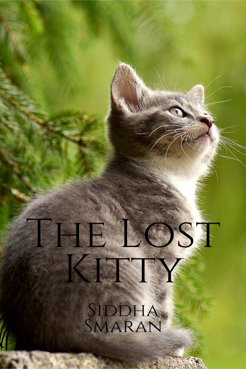 The Lost Kitty