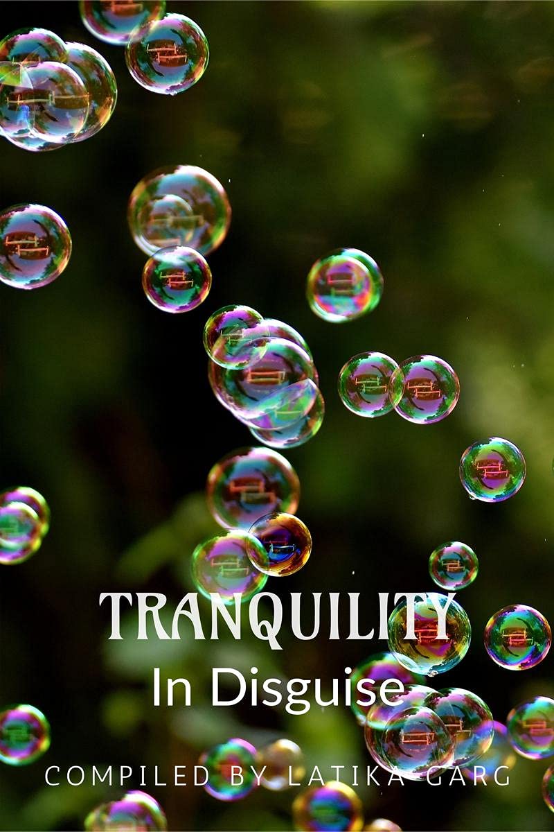 Tranquility In Disguise
