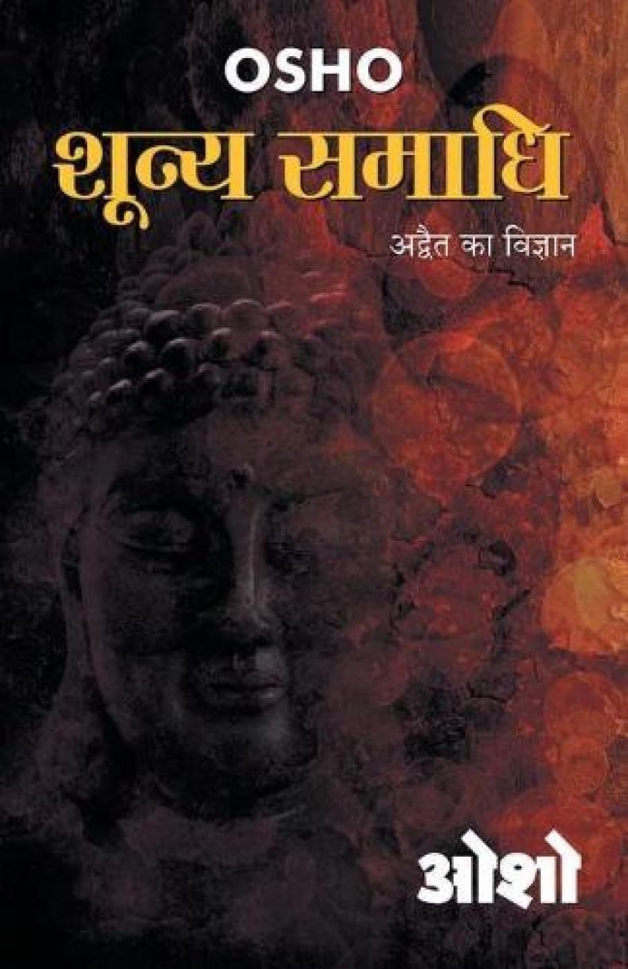 Shoonya Samadhi (????? ?????) (Hindi Edition)