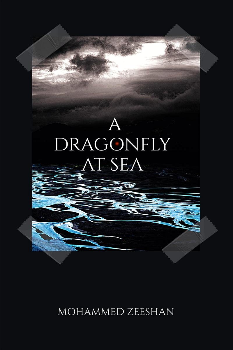 A Dragonfly At Sea