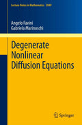 Degenerate Nonlinear Diffusion Equations (Lecture Notes in Mathematics, 2049)