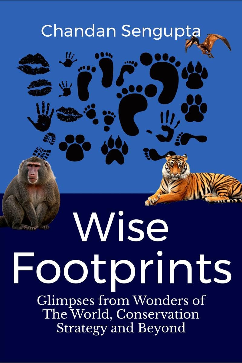 Wise Footprints: Wildlife Conservation Strategies And Concerns