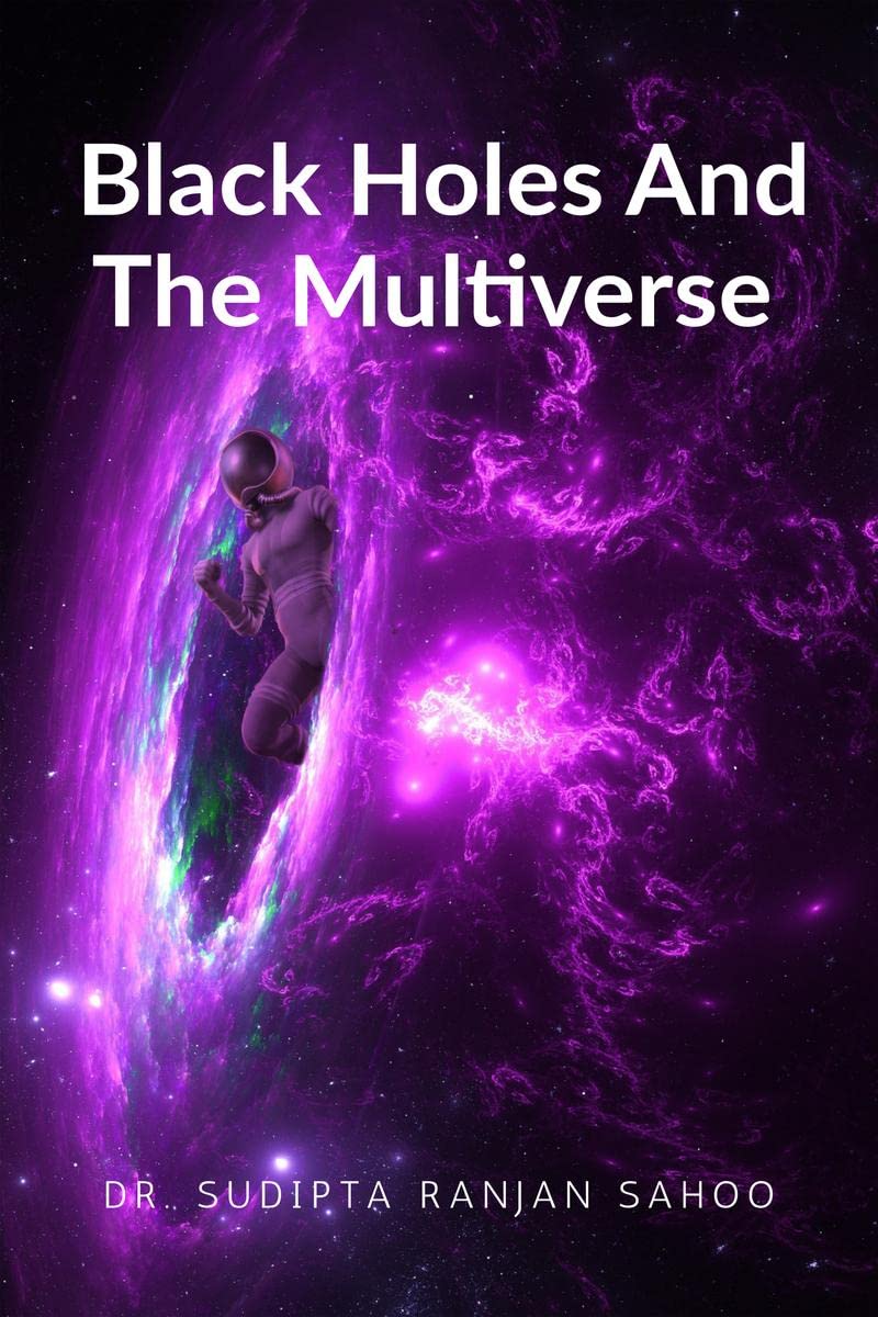 Black Holes And The Multiverse