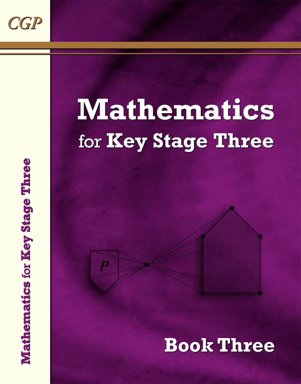 Mathematics KS3 Bk 3
