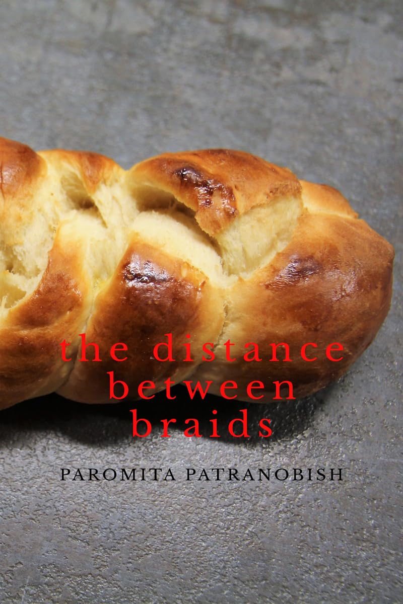 The Distance Between Braids