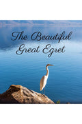 The Beautiful Great Egret : An Elegant Bird
