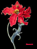 The Book of the Flower: Flowers in Art
