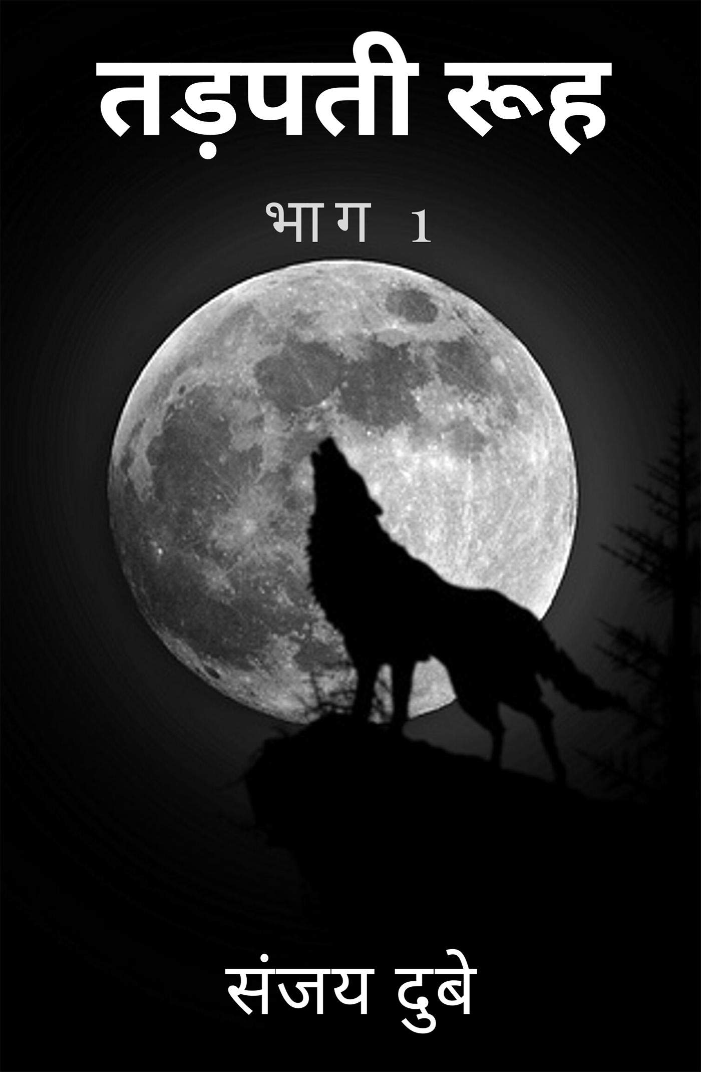 Tadapatee Rooh Bhaag 1 /    1