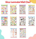 Complete Learning Chart Set of 10 for Kids : Alphabet, Fruits, Vegetables, Animals, Birds, Body Parts, Numbers, Hindi Varnmala, 