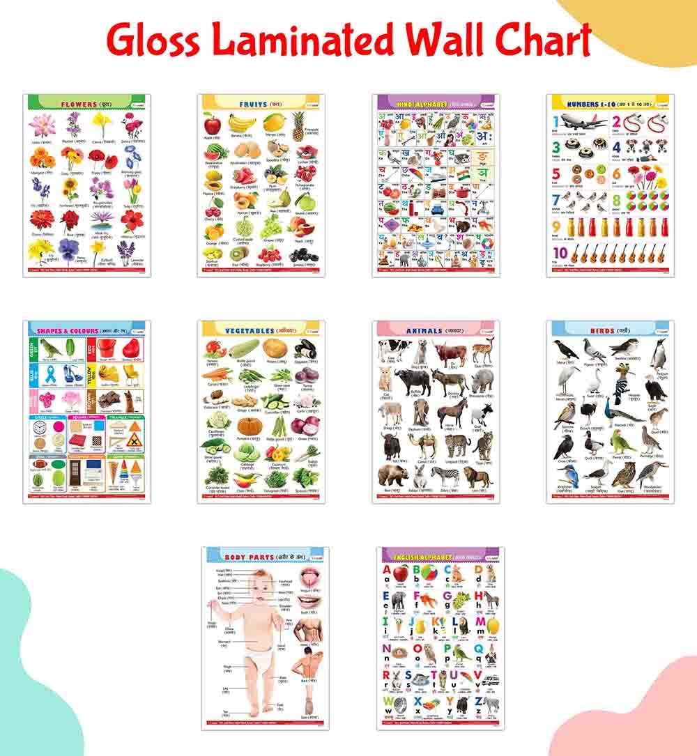 Complete Learning Chart Set of 10 for Kids : Alphabet, Fruits, Vegetables, Animals, Birds, Body Parts, Numbers, Hindi Varnmala, 