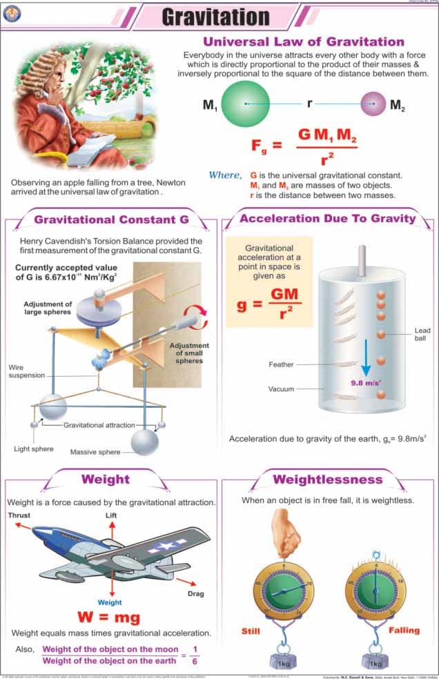 Stp34 | Teachingnest | Gravitation Chart (58X90 Cm) | English | Physics Charts | With Rollers [Wall Chart]