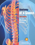 Anatomy at a Glance