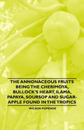 The Annonaceous Fruits Being the Cherimoya, Bullocks Heart, Ilama, Papaya, Soursop and SugarApple Found in the Tropics